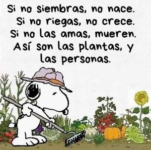 Meet your Posher, Leonarda